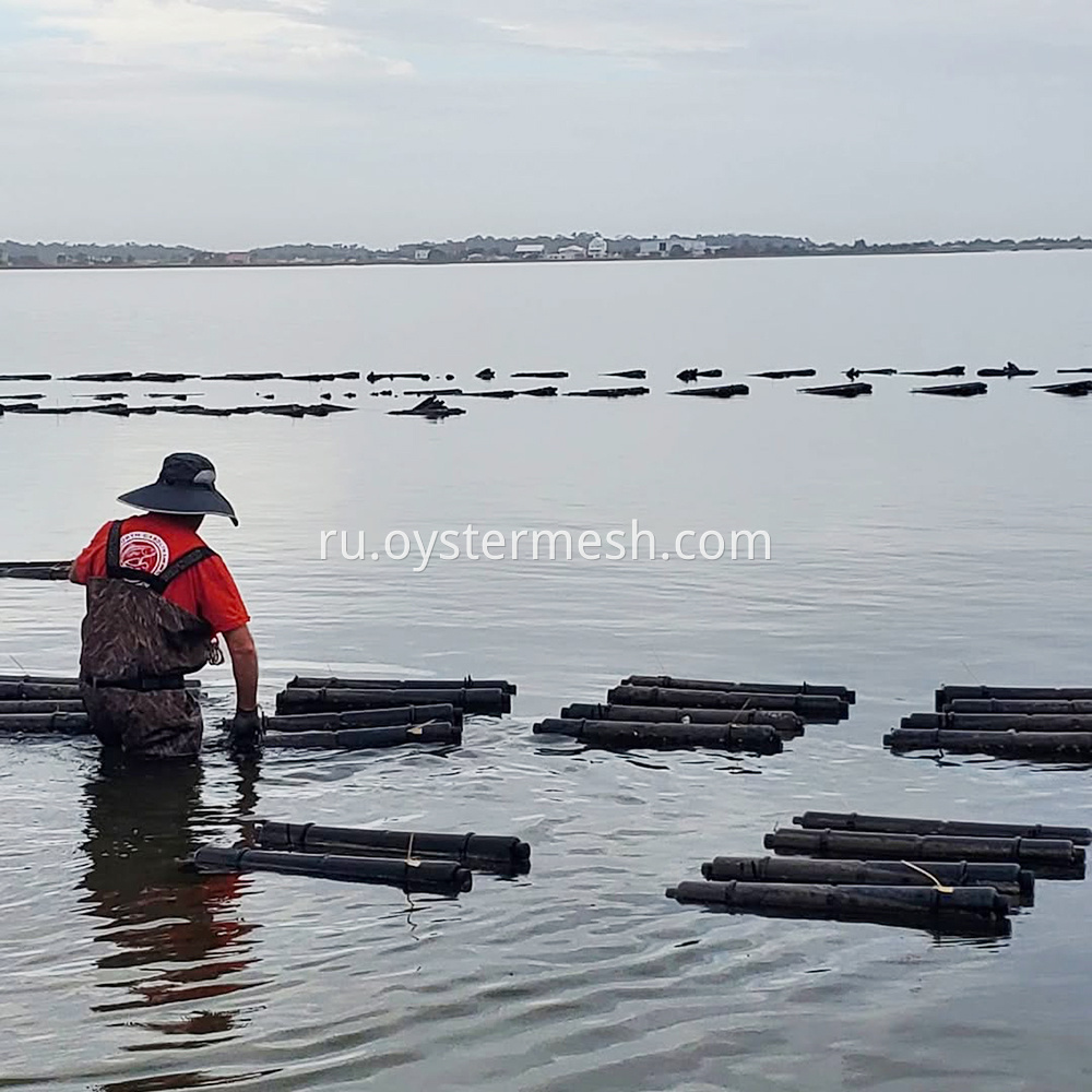 Low-Cost Sustainable Osyter Aquaculture